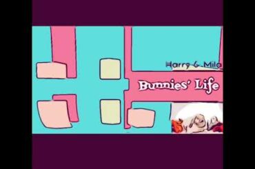 Bunnies Life - Meet our cute Holland Lop Bunnies