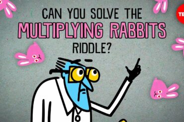 Can you solve the multiplying rabbits riddle? - Alex Gendler