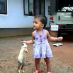 Najimol playing with rabbit