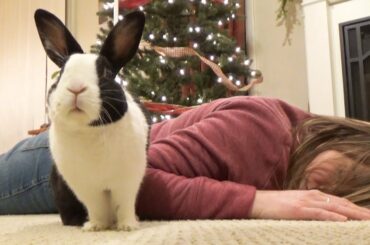 Faking my death in front of my rabbit!
