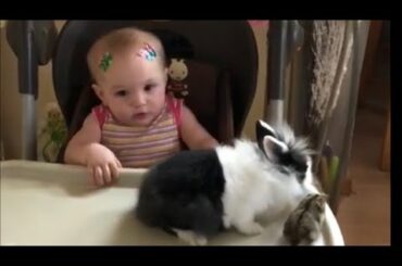 The cutest baby seeing a rabbit and a hamster for the first time