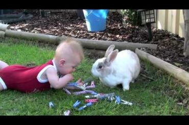 Rabbit and Baby share toys