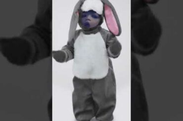Cute bunny