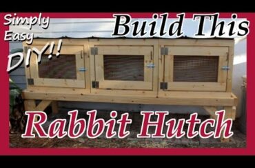 DIY Rabbit Hutch / Cage