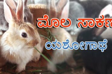 Rabbit farming : a success story in kannada