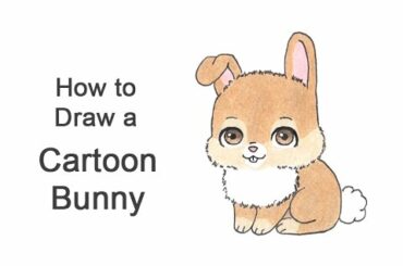 How to Draw a Bunny Rabbit (Cartoon)