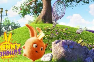 Cartoons for Children | SUNNY BUNNIES - FLY CATCH | Funny Cartoons For Children