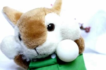 Cute Rabbit selling Eggs