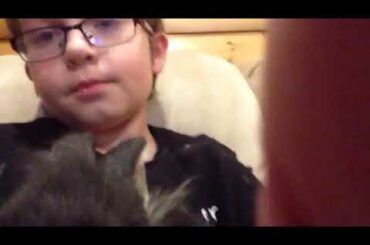 New pet #rabbit