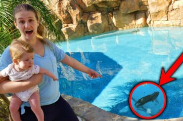 72 Hours Home Alone With Baby Preston! Bunny Found in Pool!!! Baby Laughs!