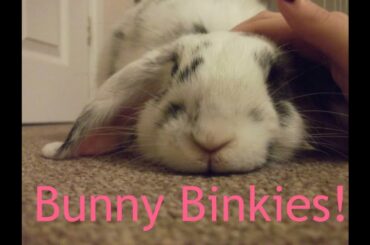 Bunny Binkies