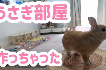 【うさぎ】うさぎ部屋作っちゃった！【かわいい】Cute rabbit live in a new room #37