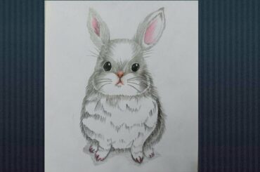 Very cute rabbit drawing
