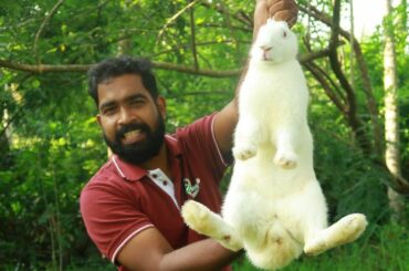 വെളുത്ത മുയലിന് ഇത്ര രുചിയോ..??? | Tasty White Rabbit Roast | Omkv Cooking