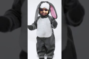 Cute Bunny