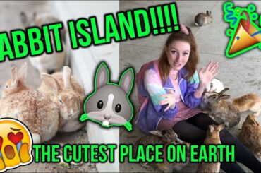 EXPLORING JAPANS RABBIT ISLAND!! Everything you need to know about Okunoshima (BUNNY ISLAND!!)