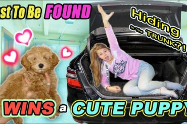 Last To Be Found Wins CUTE Baby PUPPY!! Tannerites Hide And Seek GAME!
