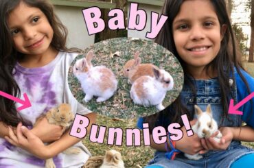 BABY BUNNIES 🐰! / After School SURPRISE 🤩!