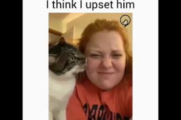 Funny Cats and Cute Kittens Will Make Your Day Compilation Part 111