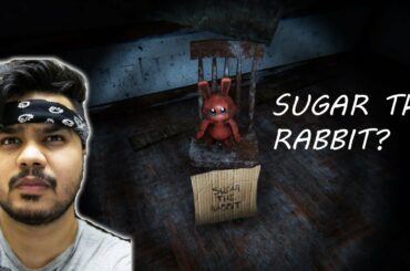 This cute little Rabbit tried to kill me!