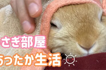 【うさぎ】うさぎ部屋であったか生活 【かわいい】Cute rabbit #41