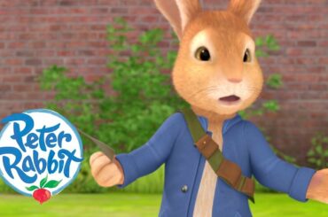Peter Rabbit - Danger in the Garden | Cartoons for Kids