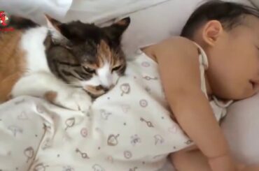 The baby bunny is very funny