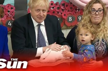 Boris Johnson school visit: PM cuddles a rabbit and joins singalong on the election campaign trail