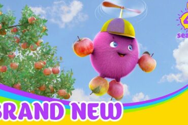 SUNNY BUNNIES | サニーハーベスト | 子供のための面白い漫画 | WildBrain