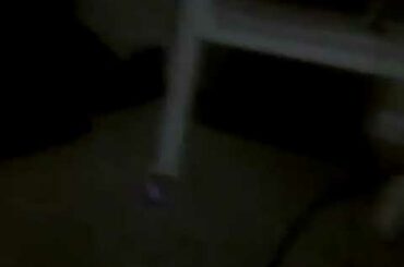 Little 5 year old boy sings cutest song to his bunny