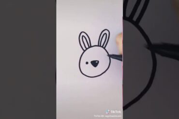 Cute bunny