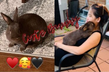 How does Bunny show affection?