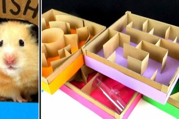 5-level Maze for Hamsters. Who is the BEST?