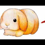 How to draw a Cute Lop Bunny