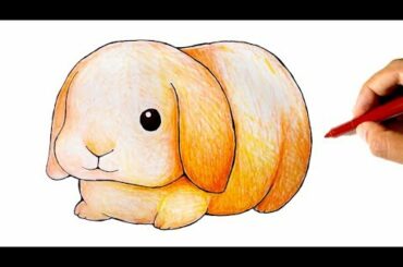 How to draw a Cute Lop Bunny