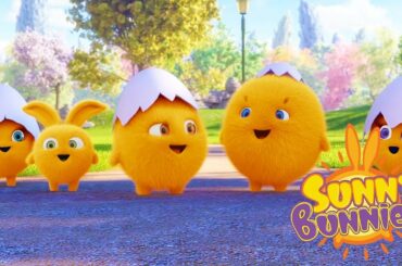 Videos For Kids | SUNNY BUNNIES - BABY BUNNIES | Funny Videos For Kids