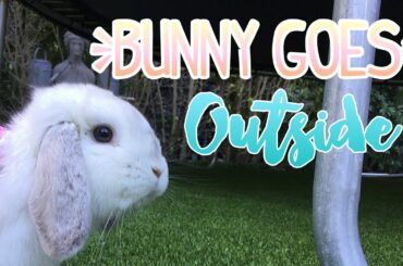 Cute Bunny goes outside!🌴🌸🦋 | Coconut Bunny!