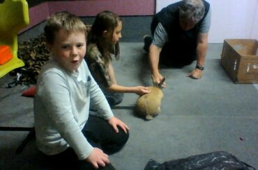 its a bunny rabbit cute
