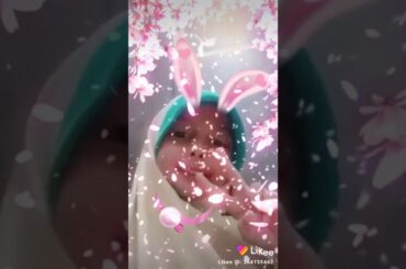Aku adalah rabbit so cute