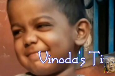 Twenty five days old rabbits baby's