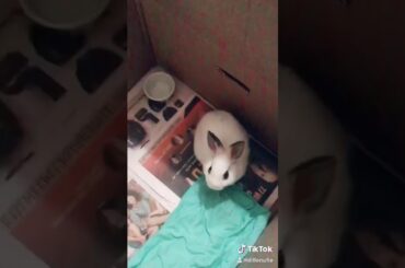 Cute bunny