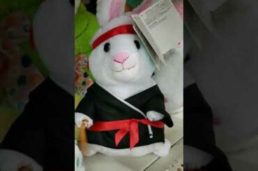 Kung fu bunny at Walmart