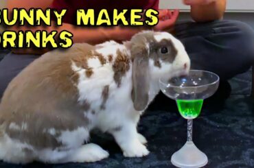 Bunny Makes Drinks | My Bunny is a Bartender