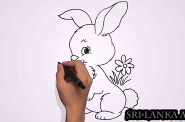 How to Easy Drawing Rabbit | Drawings Tutorials for Kids | Kids Drawing Book | Sri Lanka Art