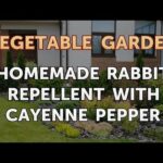 Homemade Rabbit Repellent With Cayenne Pepper