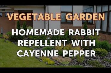 Homemade Rabbit Repellent With Cayenne Pepper