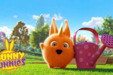 SUNNY BUNNIES - TEAMWORK | Funny Cartoons For Children