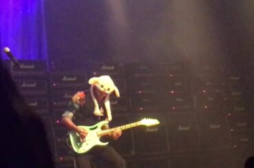 steve vai plays with a bunny rabbit hat (generation axe seoul 2019)