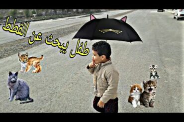 طفل يبحث عن القطط Baby looking for cats