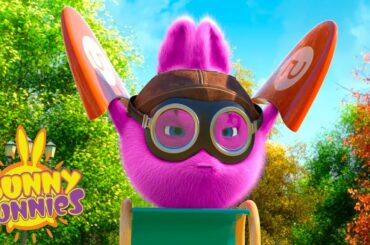 FLYING | SUNNY BUNNIES | Funny Cartoons For Children